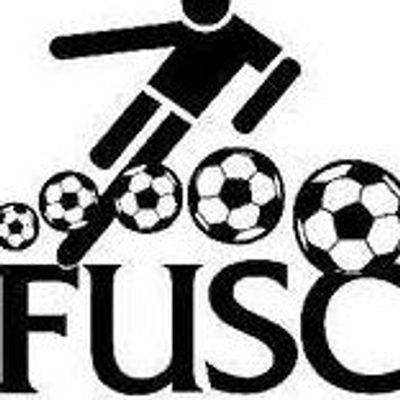 Fulton United Soccer