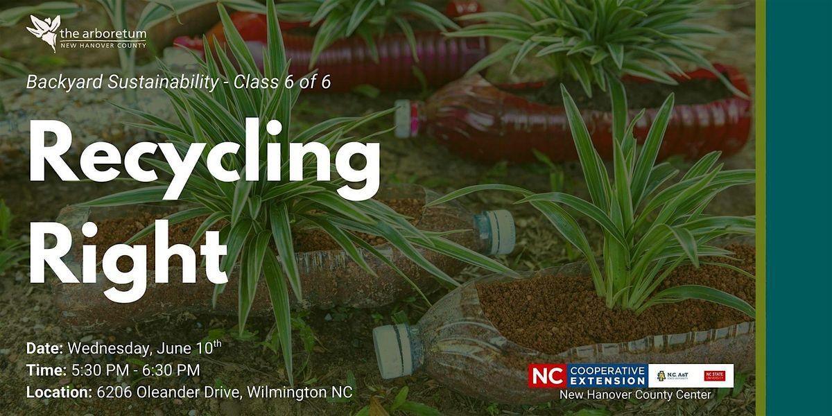 Backyard Sustainability Series: Recycling Right