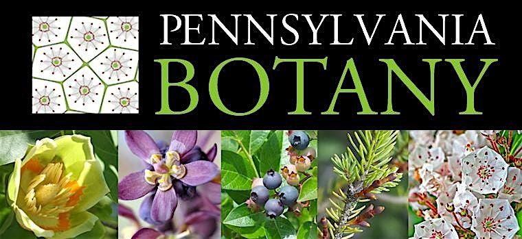 Herbivorous Insect Diversity Workshop \u2022 June 23, 2026