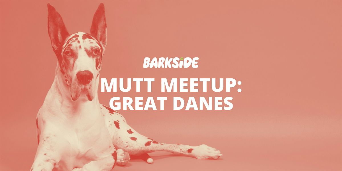 Mutt Meetup: Great Danes