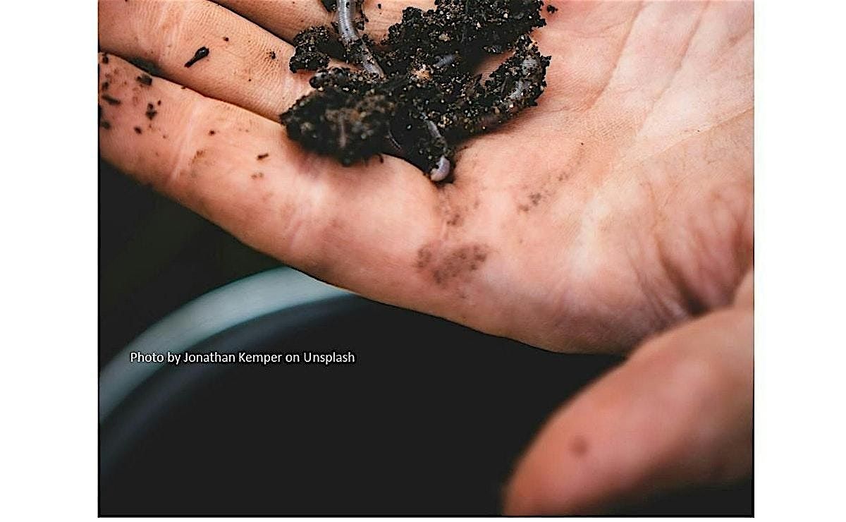 Frederick County Master Gardeners: My Soil Has What?!