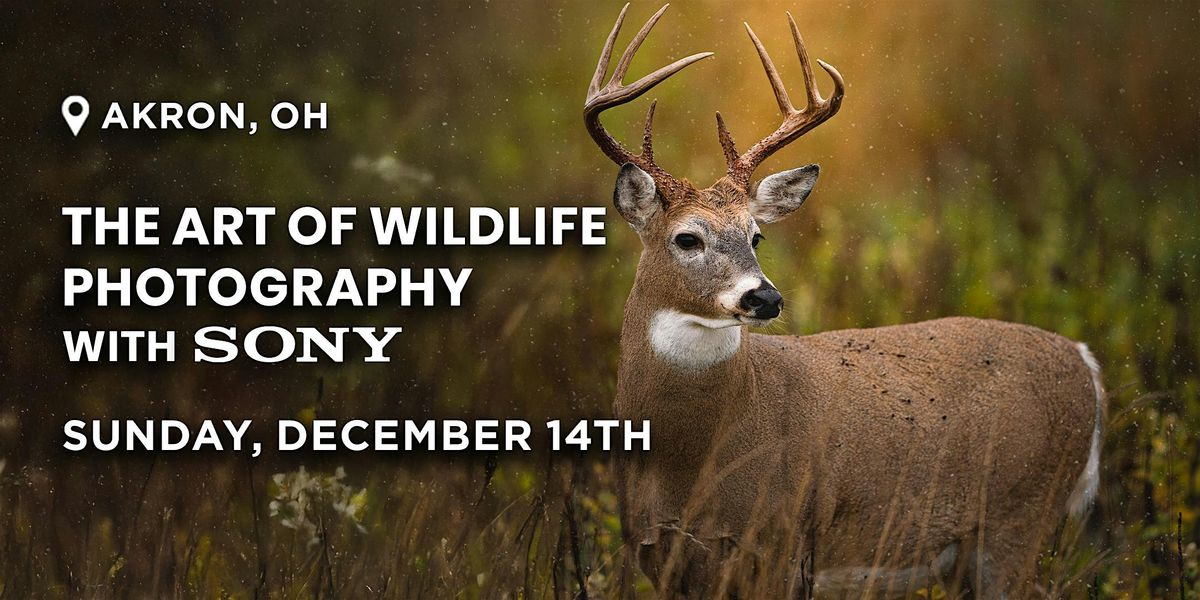 The Art of Wildlife Photography with Sony | Akron, OH