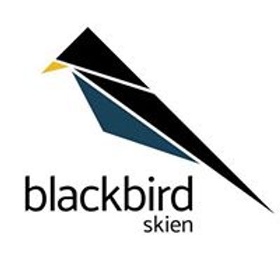 Blackbird Skien