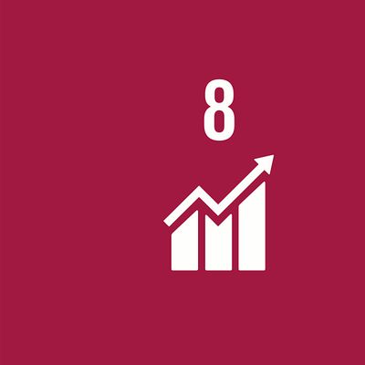 UNA-USA Global Goals Ambassador