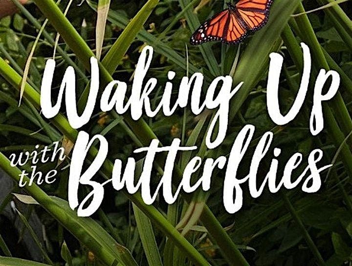 Butterfly Wonderland Waking Up with Butterflies (Tripods Allowed!)