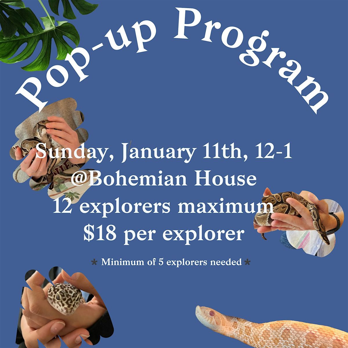 Pop-Up Program