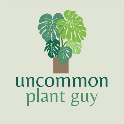 Uncommon Plant Guy