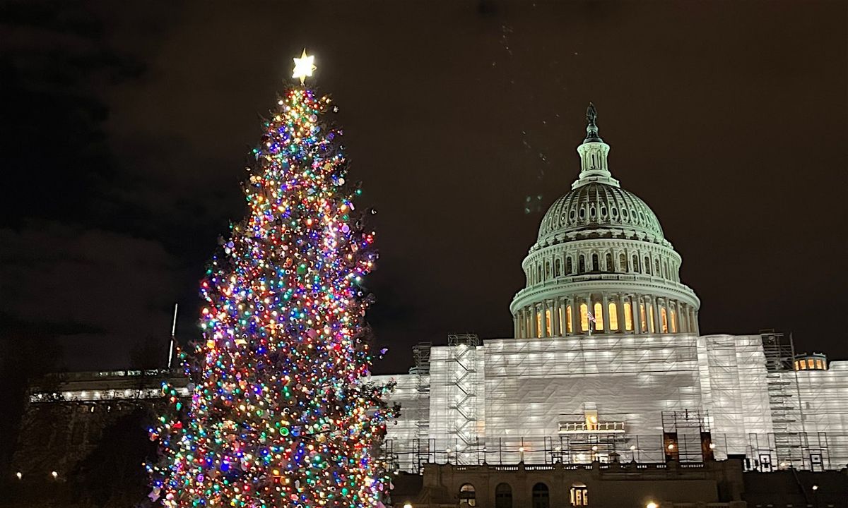 National Christmas Tree & Holiday Lights Bus Tour