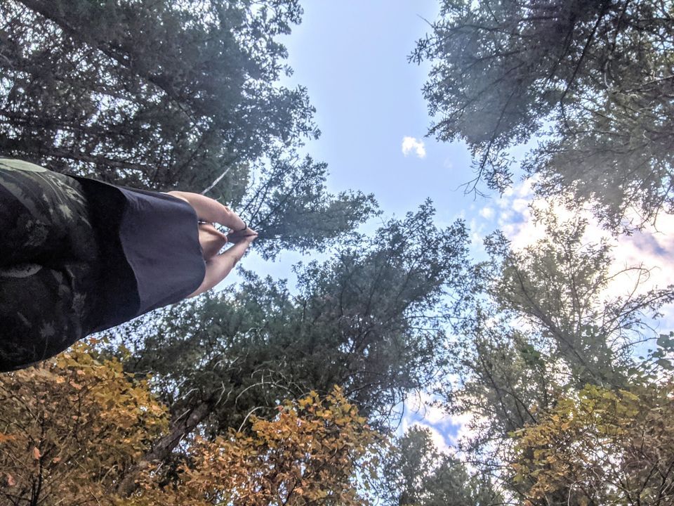 Trauma-Informed Yin Yoga Class | 3785 Harrison Blvd, Ogden, UT 84403-2024, United States | July