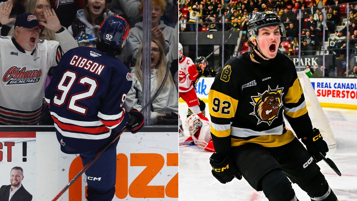 Parking Soo Greyhounds at Brantford Bulldogs