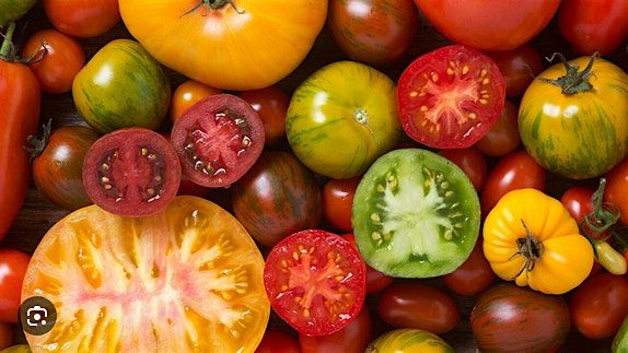 Growing Tomatoes--Tips and Tricks for the PNW