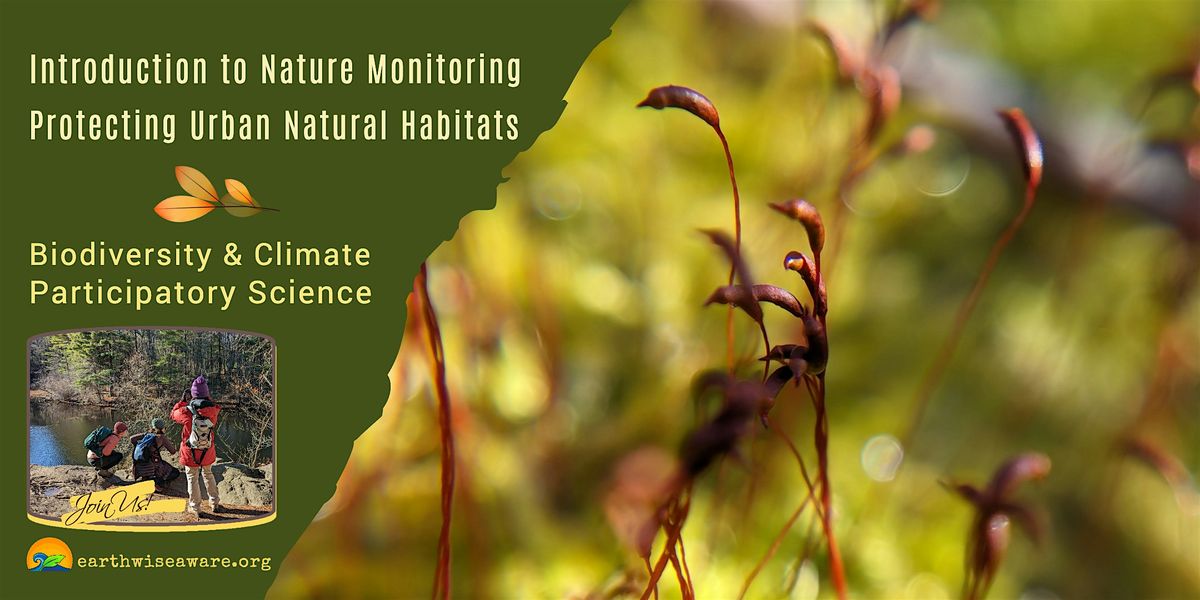 Introduction to Nature Monitoring in the City