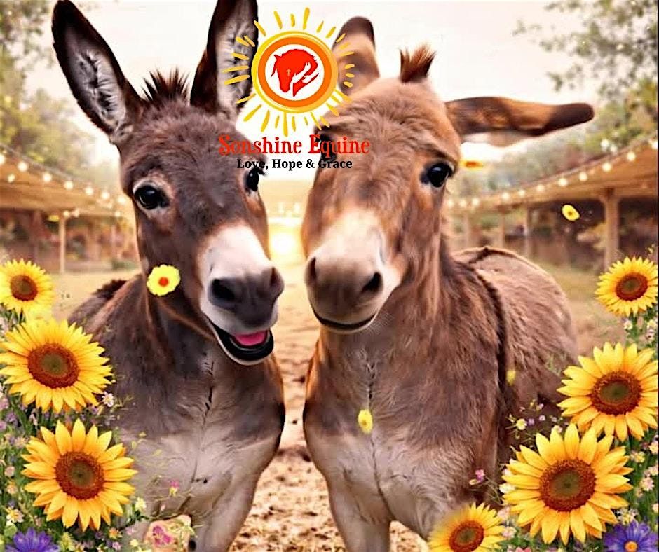 Donkey Kicks Chair Toning - Event with our Live Donkeys - Wilma and Pebbles