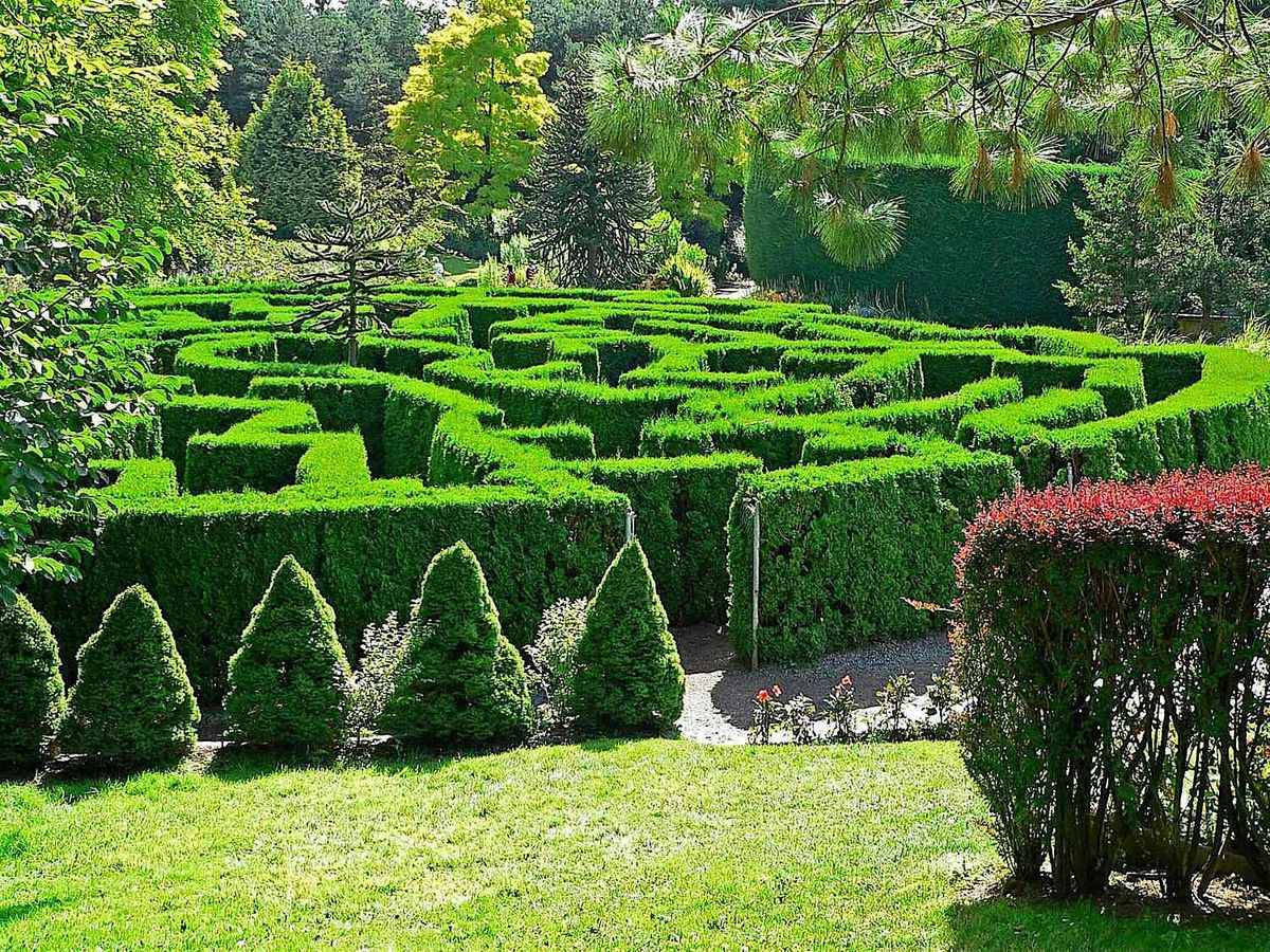 VanDusen Botanical Garden ($16)