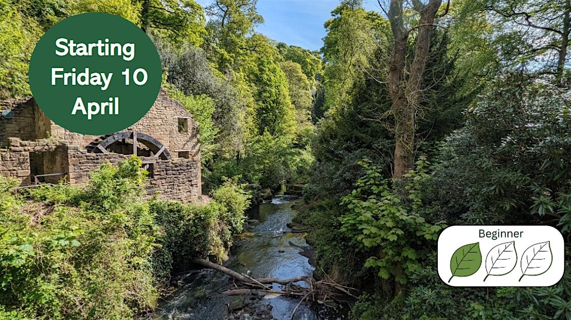 Plants and Habitats of the Ouse Burn