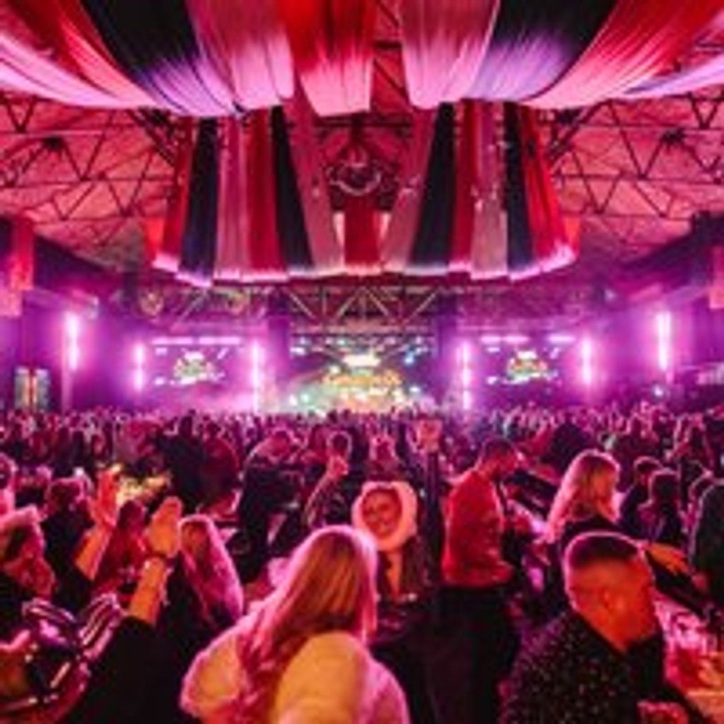 Bingo Lingo - Christmas - Deck The Balls