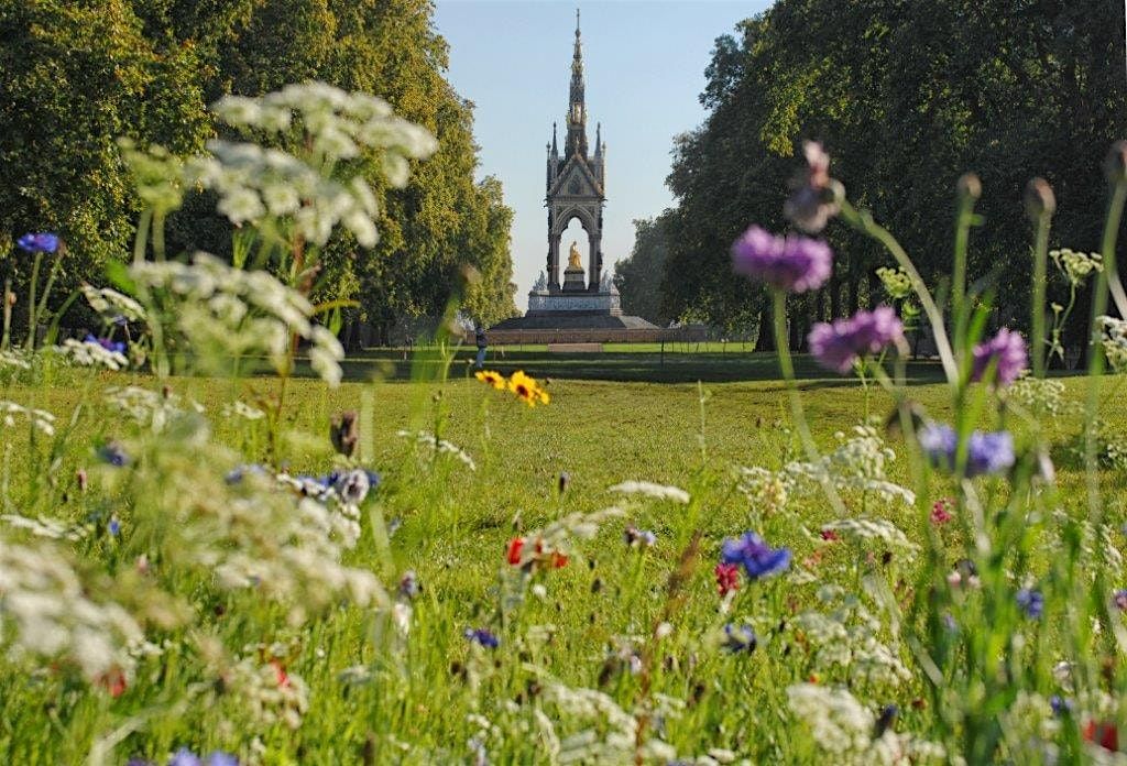 Hyde Park London Fun Puzzle Treasure Hunt! :)