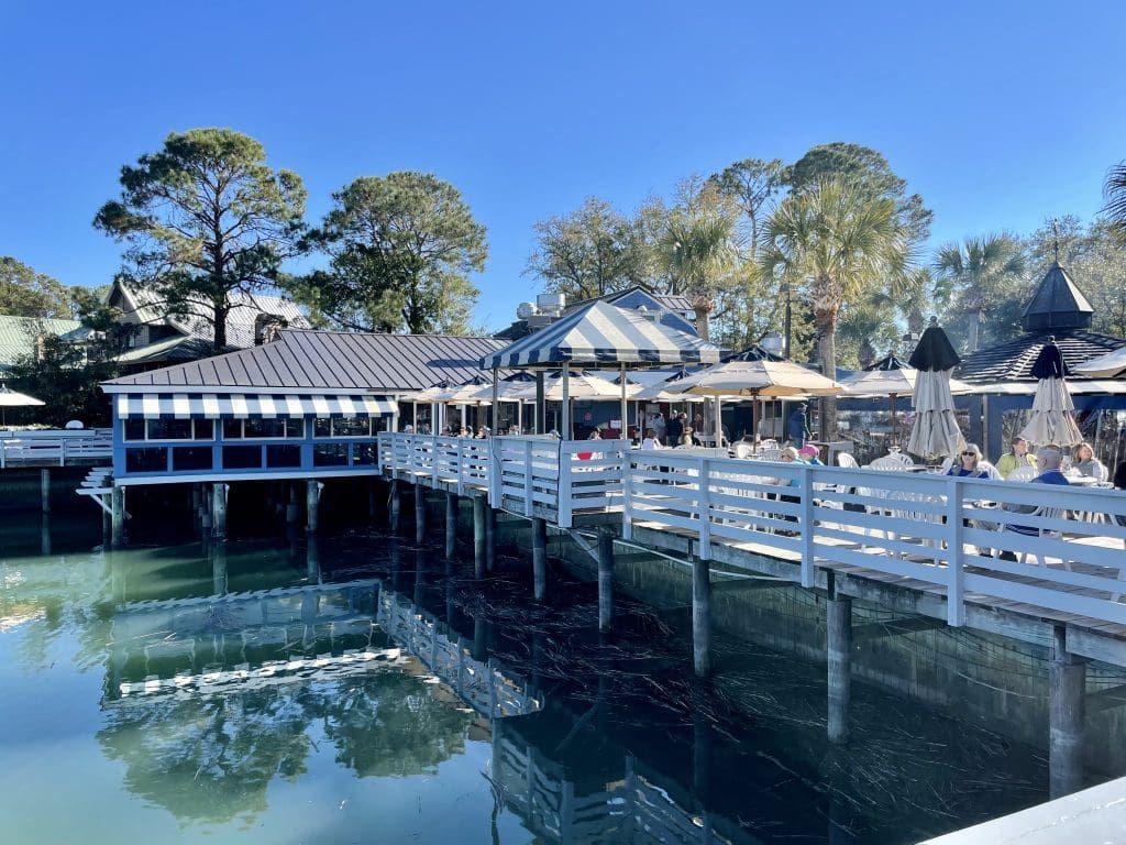 Saltydog at Turf Club