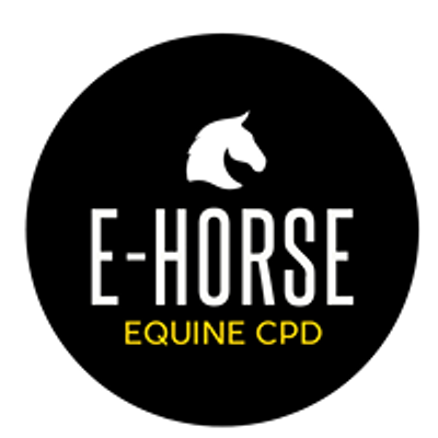 E-horse