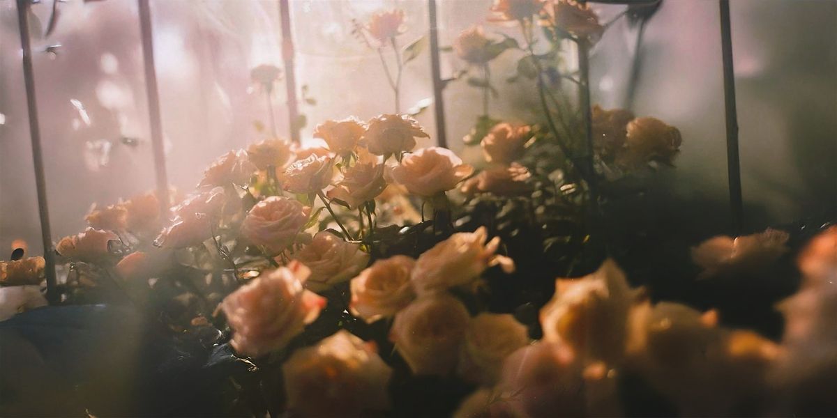 Night of Magnetizing Miracles - New Year's Eve