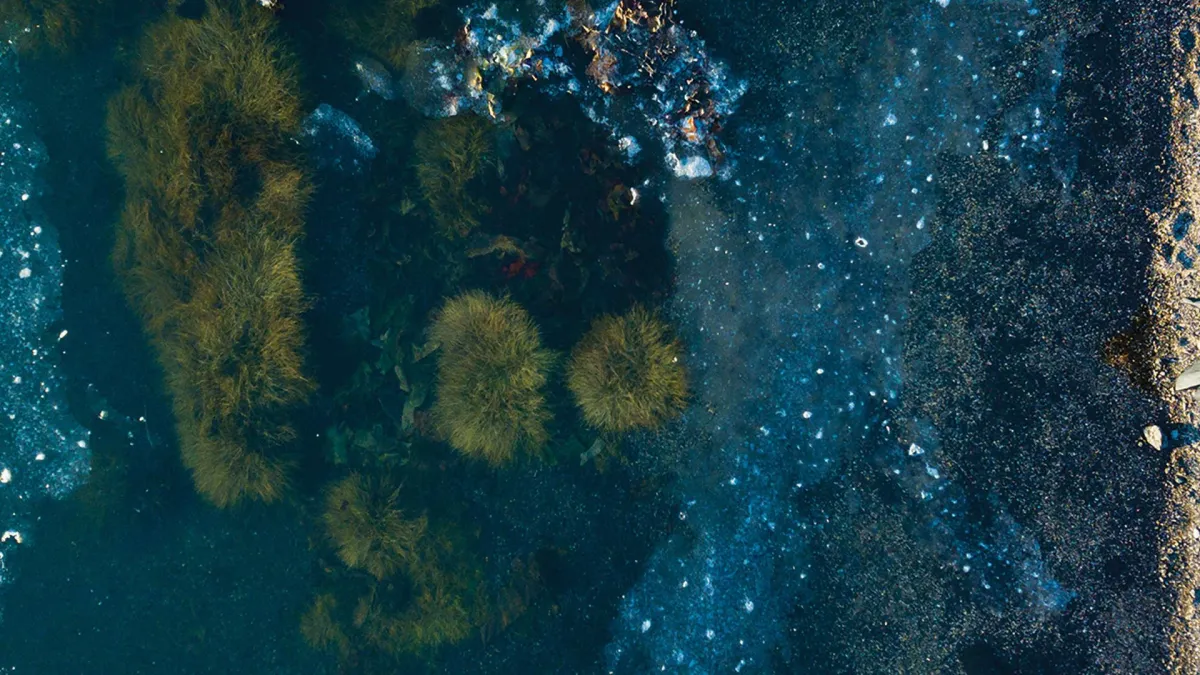 Julianna Barwick, Mary Lattimore in City of New York