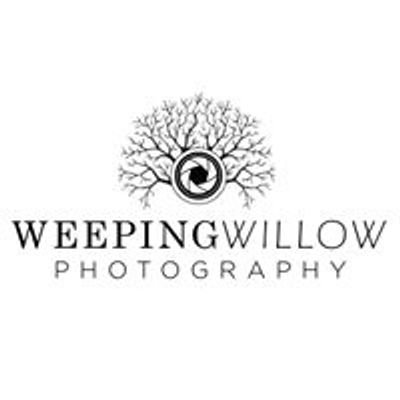 Weeping Willow Photography