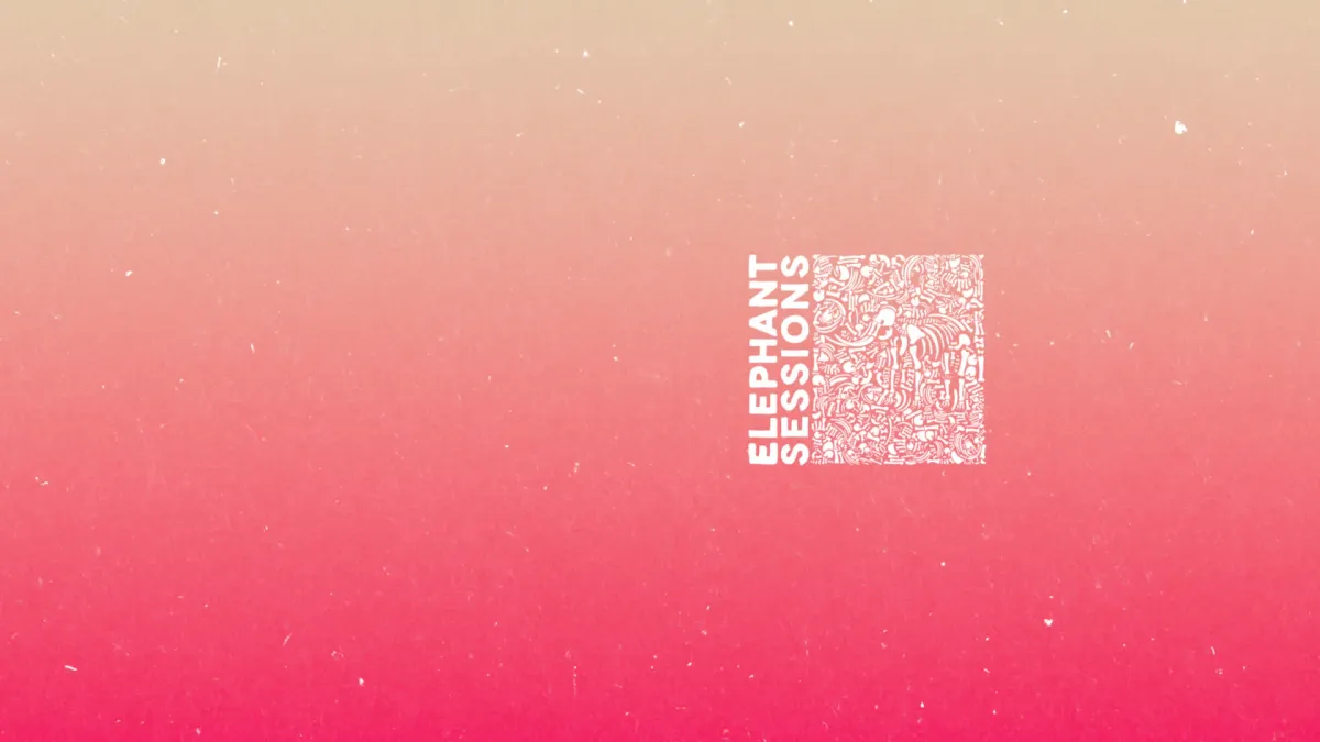 Elephant Sessions, Beluga Lagoon in Aberdeen