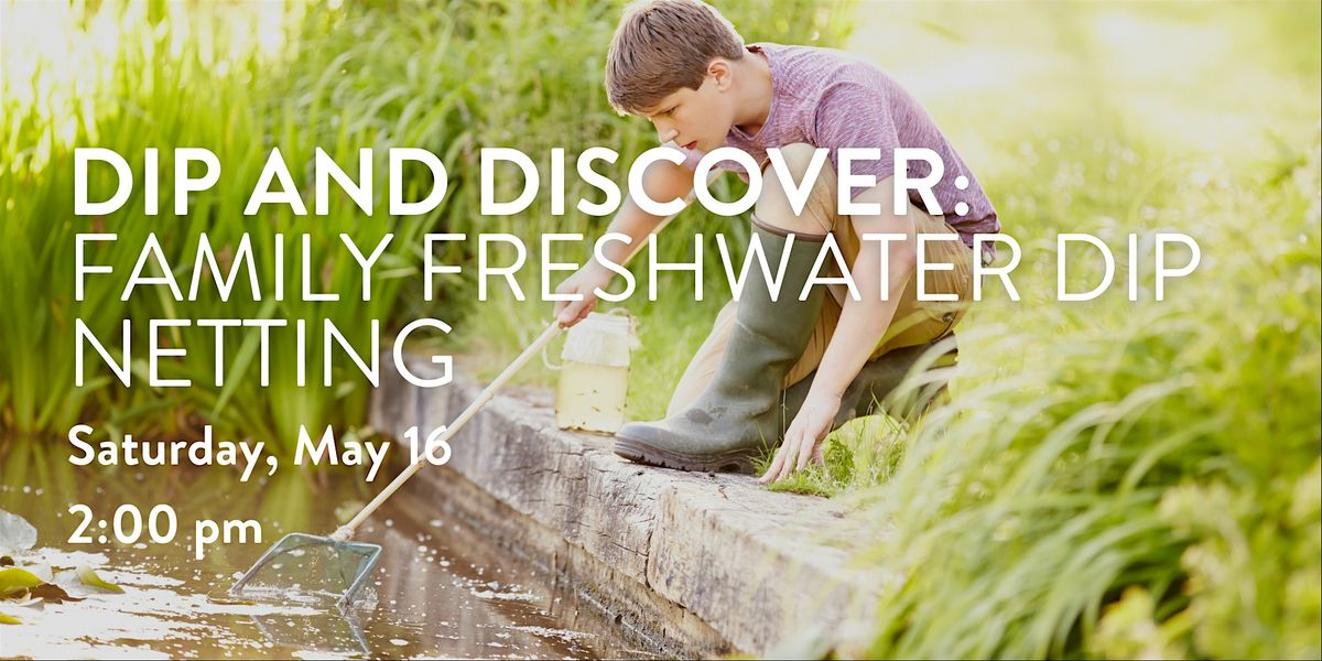 Dip and Discover: Family Freshwater Dip Netting