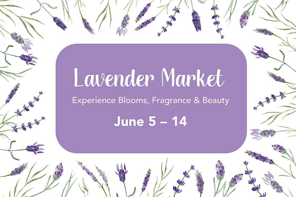 Lavender Market \u2022 Experience Blooms, Fragrance & Beauty