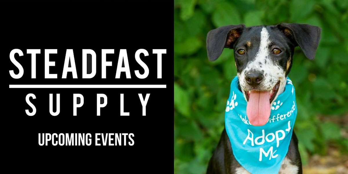 Dog Adoption Day with Rural Dog Rescue - January 10, 2026