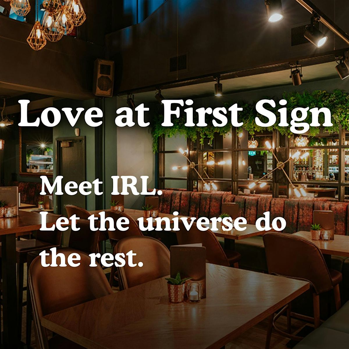 20s & 30s Single's Mixer with Love at First Sign