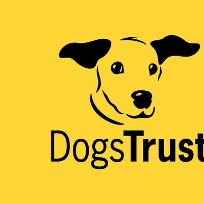 Helen Morris on behalf of Dogs Trust