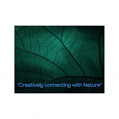 Creatively Connecting with Nature