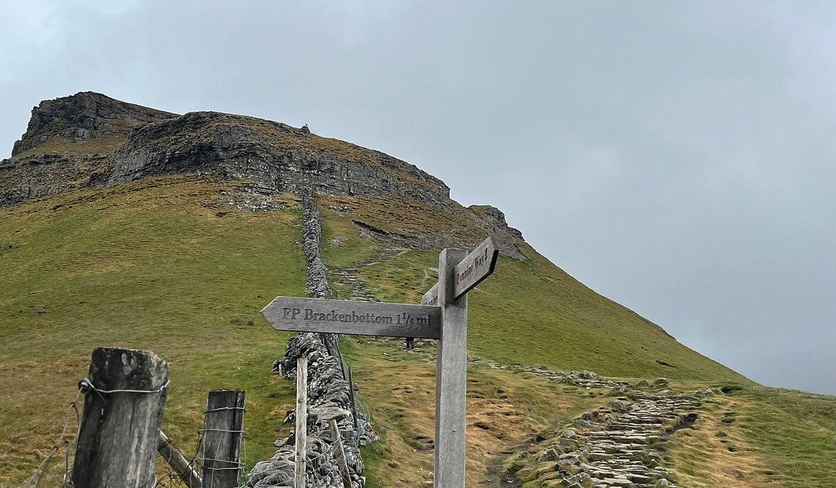 Parking Ryan Nevis (21+)