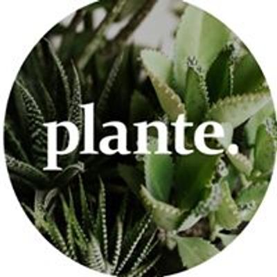 Plante Budapest