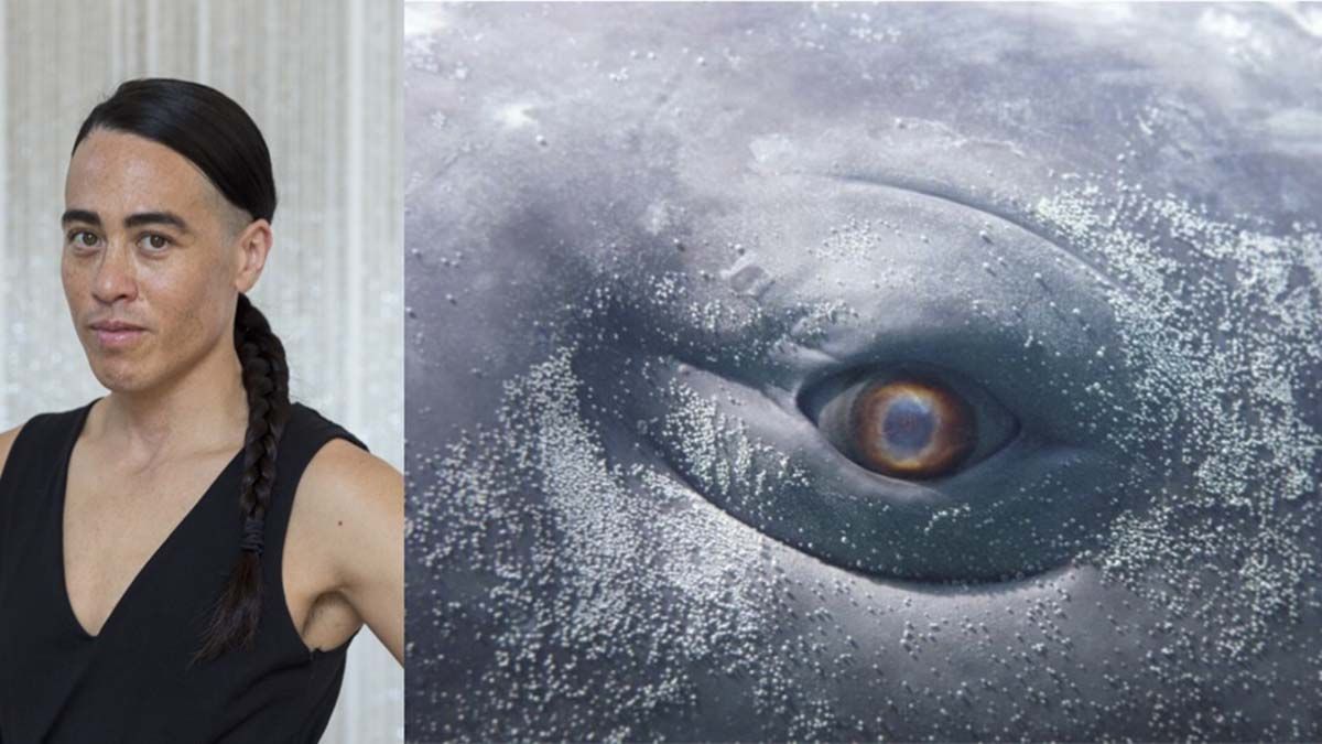 Moby Dick at Brooklyn Academy of Music - Howard Gilman Opera House