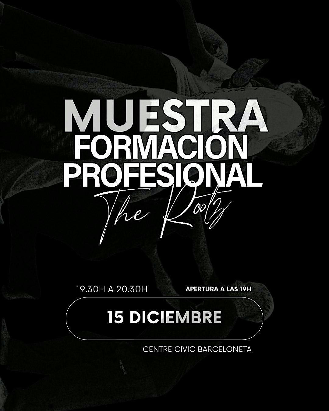 MUESTRA FORMACION PROFESIONAL THEROOTZ