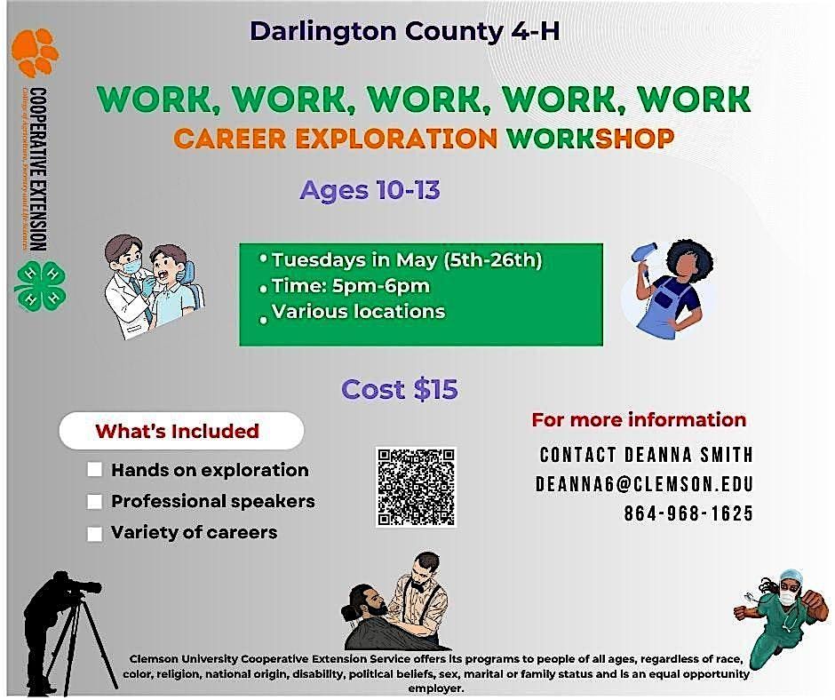 Work, Work, Work, Work Work- Career Exploration Workshop Darlington County