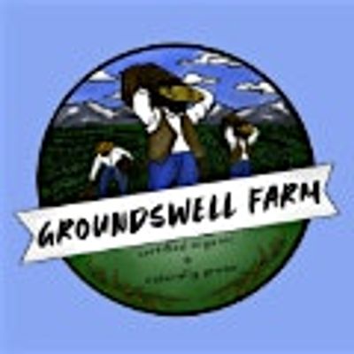 GROUNDSWELL FARMS
