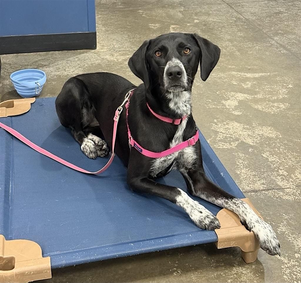 Duo Touch Prep - Tuesdays 7:30 pm - January 6 to February 10