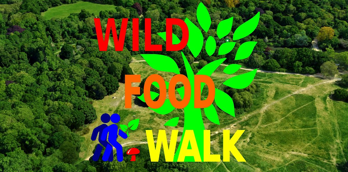 December Hampstead Heath (London) Wild Food Foraging\/ Foragers Walk.