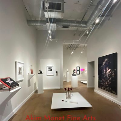 Akim Monet Fine Arts Dallas