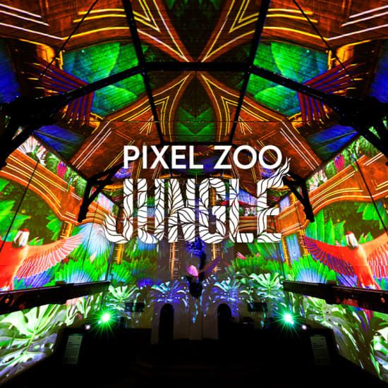 Pixel Zoo Jungle - Joue. Apprends. Explore.