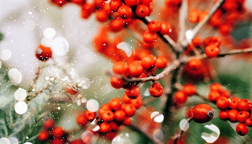 Newcastle Christmas Encounter