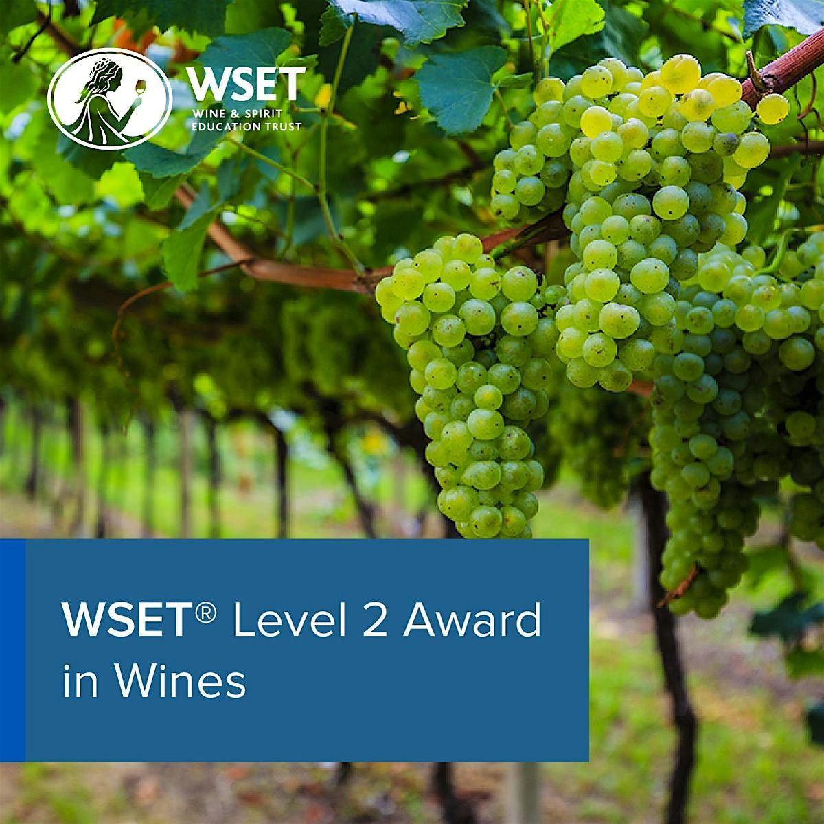 WSET Level 2 Award in Wines: 5 week course- Sundays starting June 21st