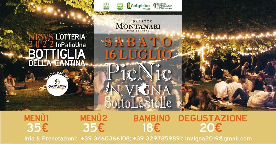 Pic Nic InVigna sotto le stelle - Palazzo Montanari - Valpolicella