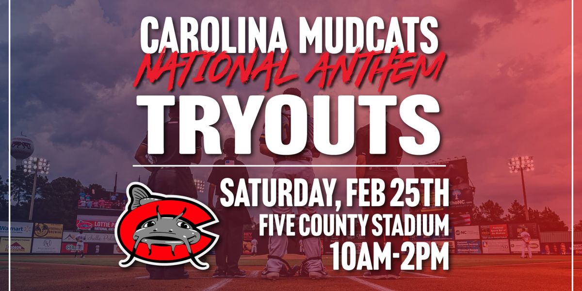 Carolina Mudcats at Fredericksburg Nationals
