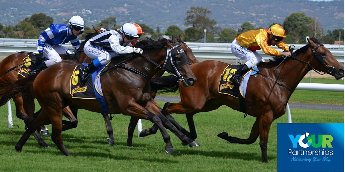 Free for all to attend Connector Event at Taunton Racecourse