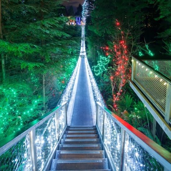 Vancouver: Christmas Tour with Capilano Canyon Lights