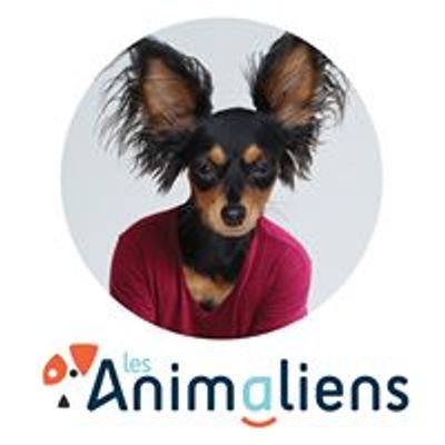 Ferme Urbaine de Calais - Association Les Animaliens